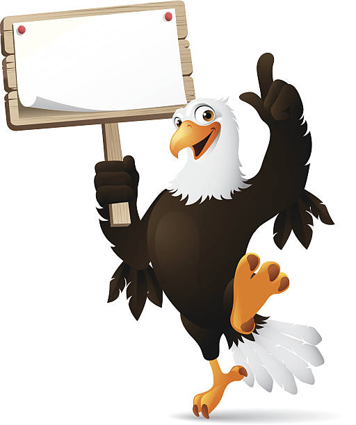 stockillustraties, clipart, cartoons en iconen met eagle holding sign - eagle cartoon