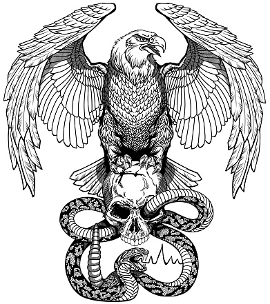 Eagle, human skull and snake. Black and white