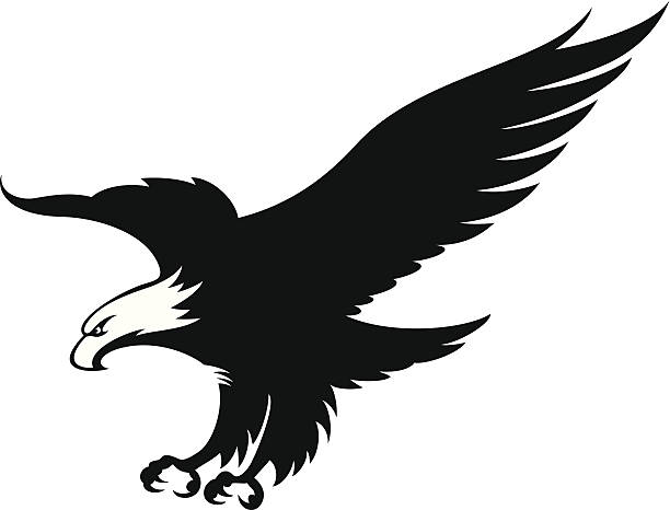 Royalty Free Bald Eagle Landing Clip Art, Vector Images & Illustrations ...