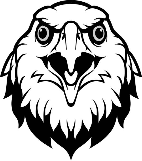 鷲 正面 イラスト素材 Istock 鷲 正面 イラスト素材 Istock