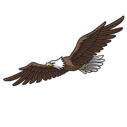 Eagle Mascot Logo Spread Wings Vector Illustration