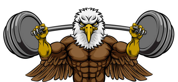 eagle maskottchen gewichtheben langhantel body builder - gewichtheben stock-grafiken, -clipart, -cartoons und -symbole