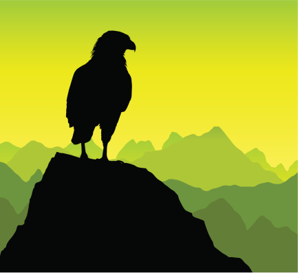 A beautiful silhouette of an eagle observing its surroundings on a rocky peak. The bird silhouette is in full and on a different layer.