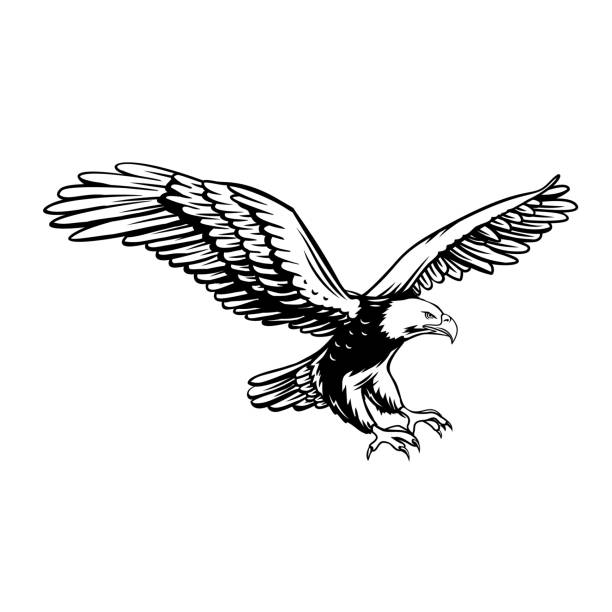 stockillustraties, clipart, cartoons en iconen met pictogram eagle retro - arend