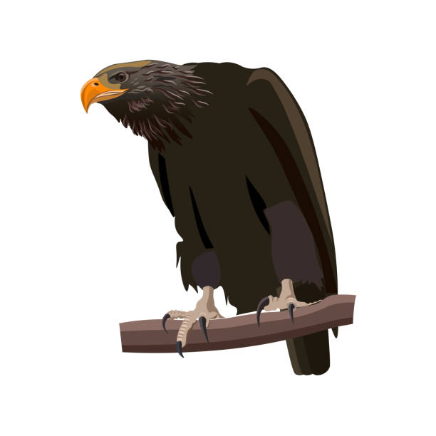 Eagle sitting on a dead tree by JanChriss on deviantART