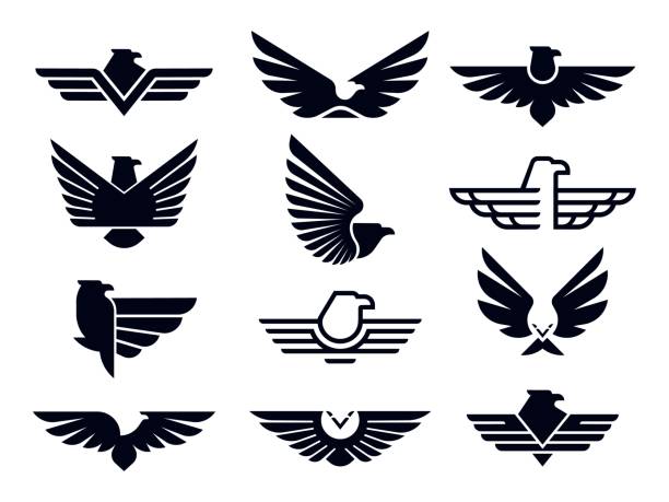 イーグルシンボル。シルエットフライングイーグルエンブレム、翼バッジと自由タカの翼ステンシルベクトルアイコンバンドル - 鷹点のイラスト素材／クリップアート素材／マンガ素材／アイコン素材