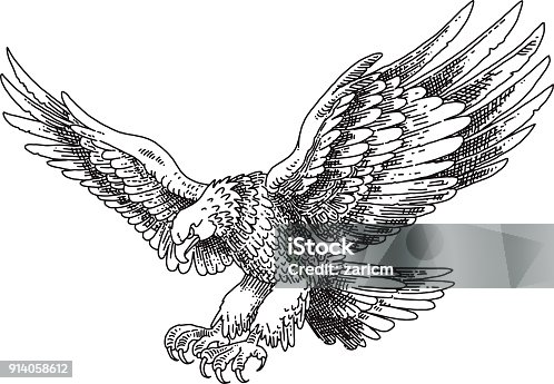 Vector Line Drawing Of The Eagle - Vector Download