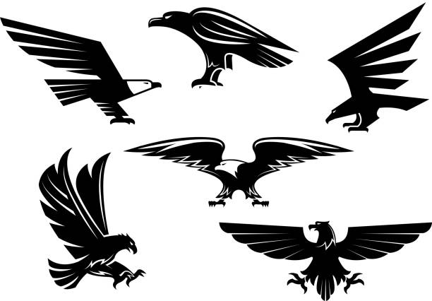 イーグルの紋章鳥エンブレム分離ベクトル アイコン - 鷹点のイラスト素材／クリップアート素材／マンガ素材／アイコン素材