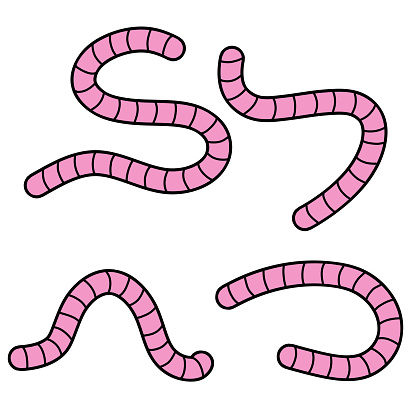 Earthworm. Pink Insect worm set.