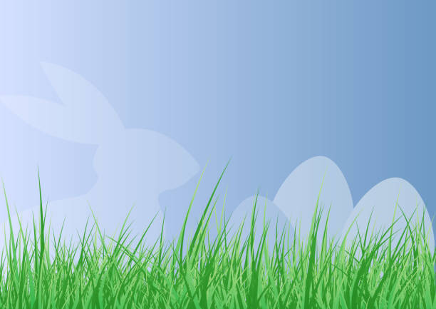 bildbanksillustrationer, clip art samt tecknat material och ikoner med påsk bakgrund med påsk haren och ägget siluett bakom frodiga färskt grönt gräs mot blå himmel - easter egg