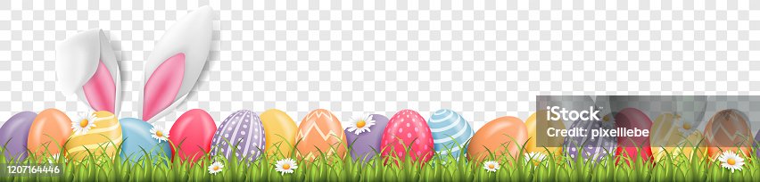 istock Easter bunny ears with easter eggs on meadow with flowers background banner transparent 1207164446