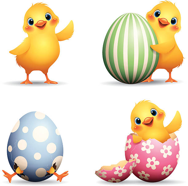 Easter Chick set - set of baby chicks with easter egg baby chicken stock illustrations