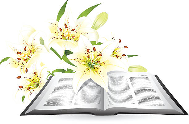 Easter Lily and Bible  easter sunday stock illustrations