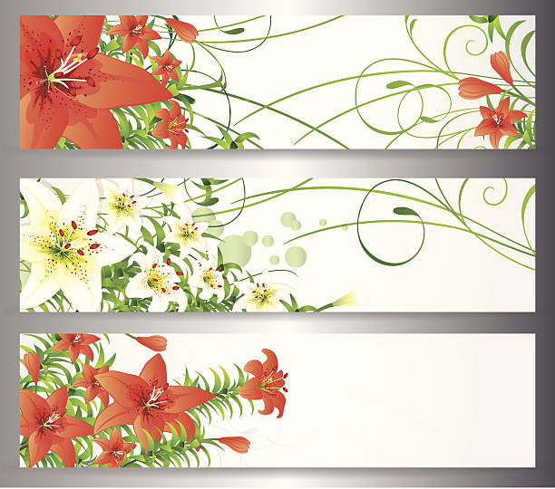 Easter Lily Banner  easter sunday stock illustrations