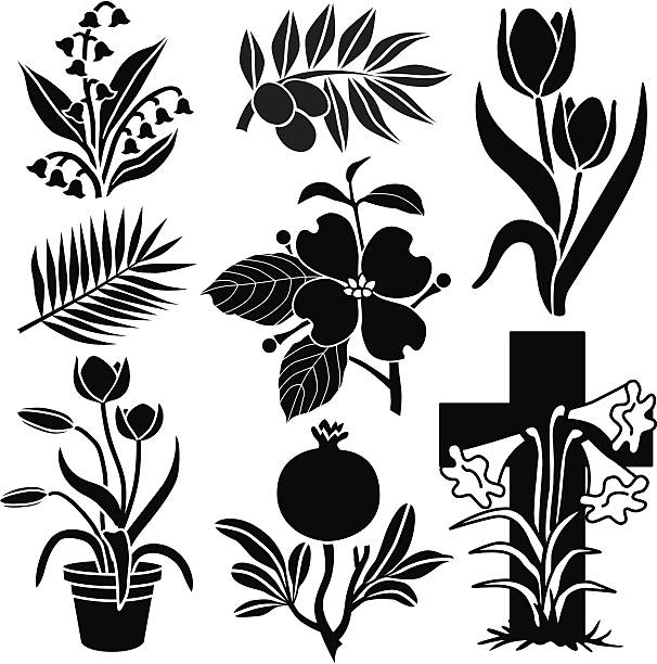 Easter plants and flowers Vector illustrations of plants and flowers with religious significance to Christians. Lily of the Valley, olive branch, Spring tulips, palm leaf, dogwood flower, pomegranate, lilies religious cross clipart stock illustrations