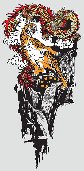 Eastern dragon versus tiger . Two spiritual creatures in the Buddhism representing the spirit heaven and matter earth. Tattoo style vector illustration vector