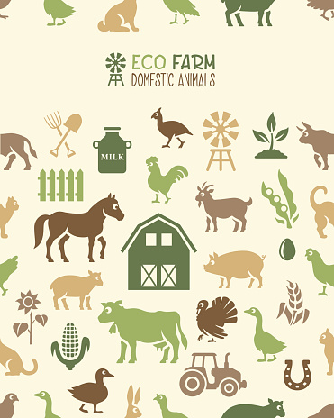 Eco Farm Seamless Pattern