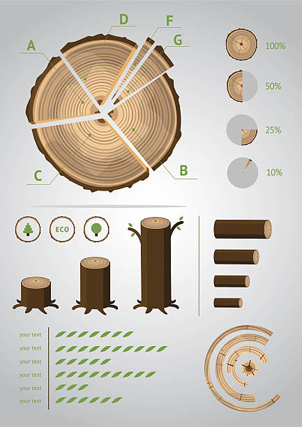 eco-infografik - baum grafiken stock-grafiken, -clipart, -cartoons und -symbole