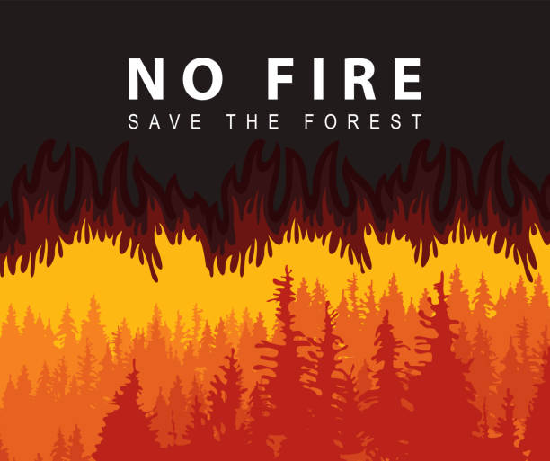 illustrations, cliparts, dessins animés et icônes de affiche écologique sur les feux de forêt thématiques. sauver la forêt - incendie