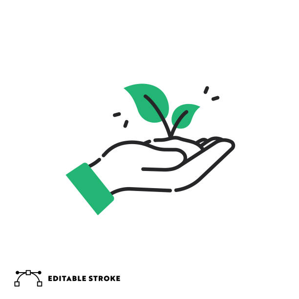 Ecology Flat Line Icon with Editable Stroke Eco Friendly Icon with Editable Stroke gardening clipart stock illustrations