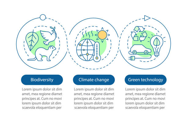 ökologie vektor-infografik-vorlage - biodiversität stock-grafiken, -clipart, -cartoons und -symbole