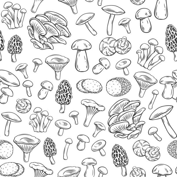 Edible mushrooms outline Edible mushrooms outline seamless pattern. Engraved forest plants, natural protein food. Drawn retro vector background with mushrooms for menu or shop design. fungus stock illustrations
