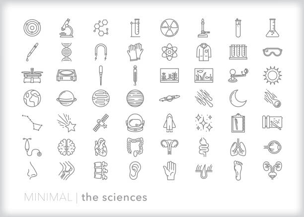 Education line icon set of the sciences Line icon set of school, laboratory and learning icons of the sciences including biology, chemistry, physics, anatomy and astronomy science stock illustrations