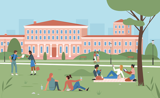 Education scene, happy students sitting on summer park green grass together, studying