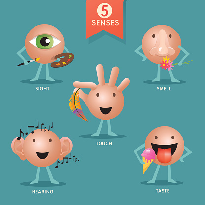 educational cartoon characters representing the five senses
