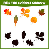 Educational game for children. Find the correct shadow. Autumn leaves. Mini-game for children.