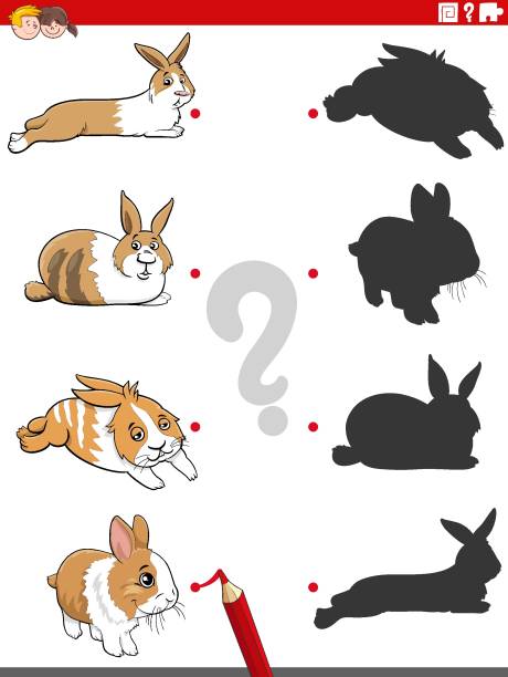 bildbanksillustrationer, clip art samt tecknat material och ikoner med educational shadow game with cartoon rabbits - dwarf rabbit