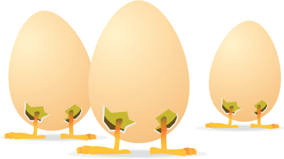 Egg gang