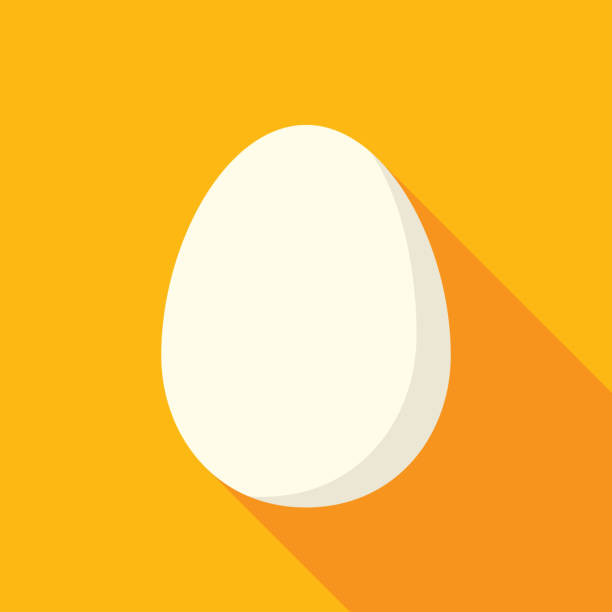 Egg Icon Flat Vector illustration of an egg against a golden background in flat style. egg illustrations stock illustrations