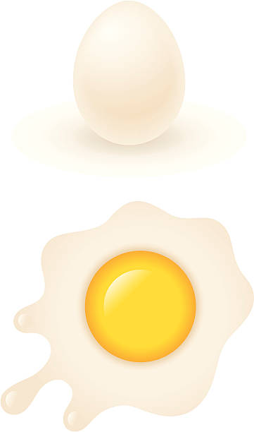 Egg vector art illustration