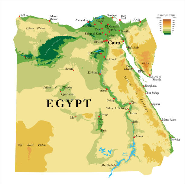 mısır fiziksel harita - egypt stock illustrations