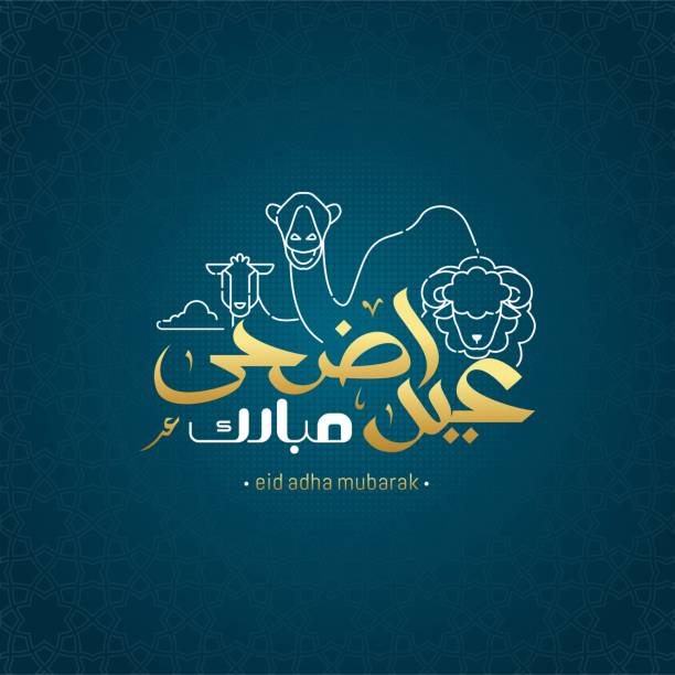 Eid adha mubarak arabic calligraphy greeting card Eid adha mubarak arabic calligraphy greeting card. the Arabic calligraphy means (Happy eid adha) Vector illustration eid al adha stock illustrations