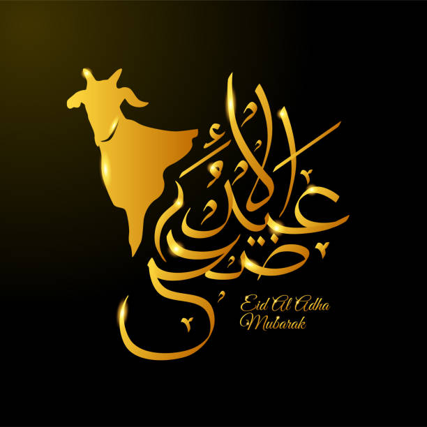 Eid Al Adha arabic calligraphy illustration with golden color and goat outline, relevant for greeting Eid Mubarak Eid Al Adha arabic calligraphy illustration with golden color and goat outline, relevant for greeting Eid Mubarak eid al adha stock illustrations