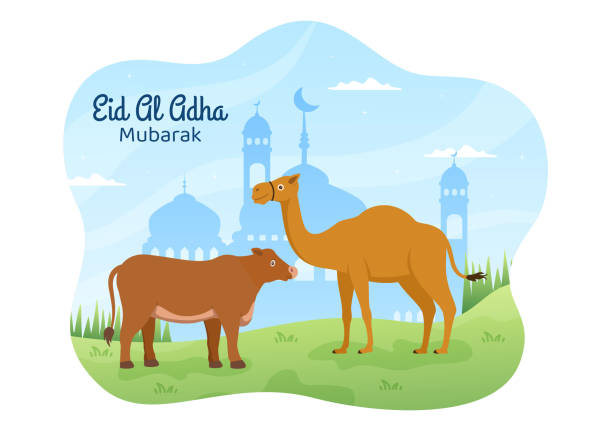 Eid al Adha Background Cartoon Illustration for the Celebration of Muslim with Slaughtering an Animal as a Cow, Goat or Camel and share it Eid al Adha Background Cartoon Illustration for the Celebration of Muslim with Slaughtering an Animal as a Cow, Goat or Camel and share it eid al adha calligraphy stock illustrations