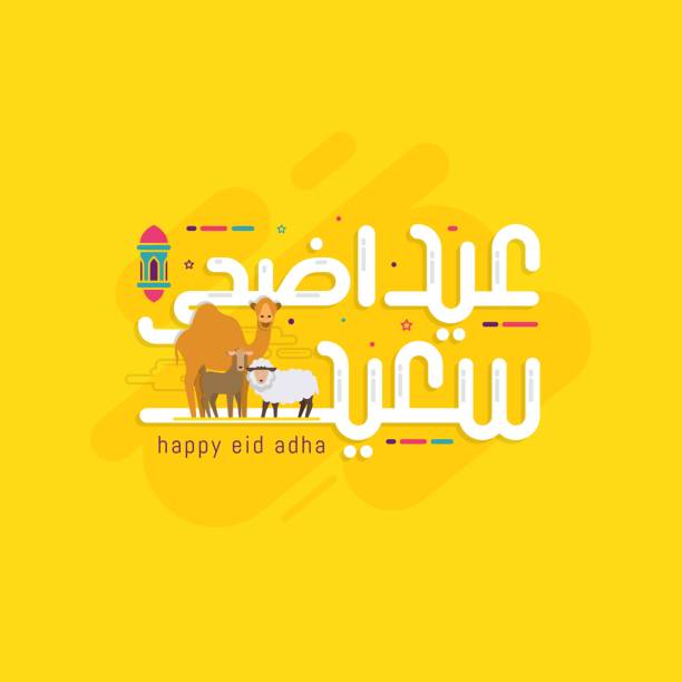 Eid Al Adha cute calligraphy vector illustration Eid Al Adha cute calligraphy vector illustration. Celebration of Muslim holiday the sacrifice a camel, sheep and goat eid al adha stock illustrations