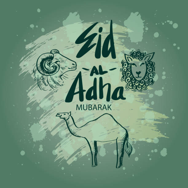 Eid Al Adha hand lettering with goat, lamb and camel illustration for Eid Mubarak Celebration Eid Al Adha hand lettering with goat, lamb and camel illustration for Eid Mubarak Celebration eid al adha stock illustrations