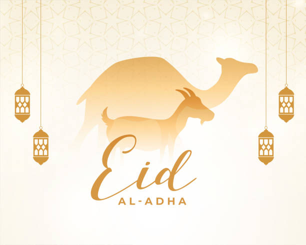 eid al adha islamic greeting with camel and goat design eid al adha islamic greeting with camel and goat design eid al adha stock illustrations
