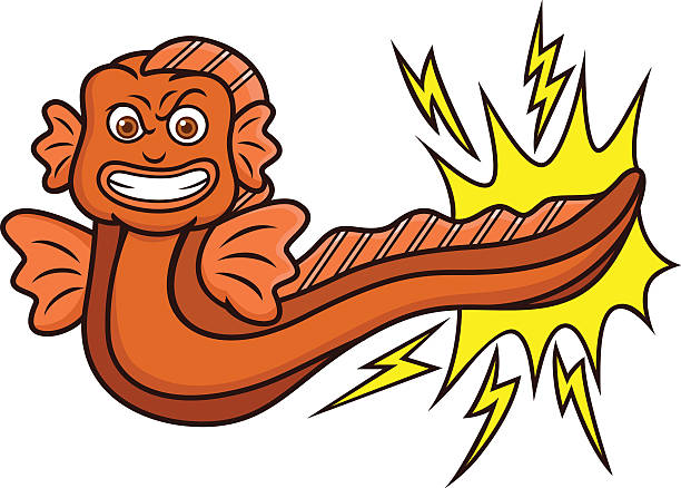 전기뱀장어 말풍선이 있는 - 전기뱀장어 stock illustrations