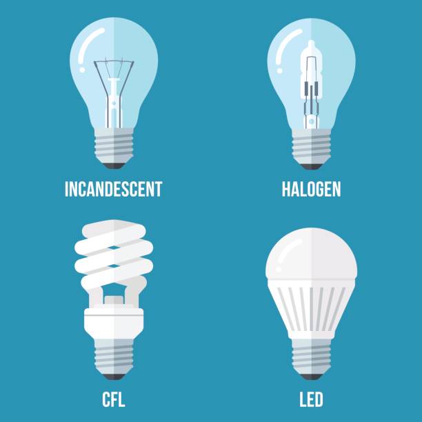 Electric light types Vector illustration of main electric lighting types: incandescent light bulb, halogen lamp, cfl and led lamp. Flat style. light bulb filament stock illustrations