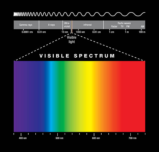 Electromagnetic Spectrum And Visible Light Electromagnetic spectrum of all possible frequencies of electromagnetic radiation with the colors of the visible spectrum. Isolated illustration on black background. electromagnetic stock illustrations