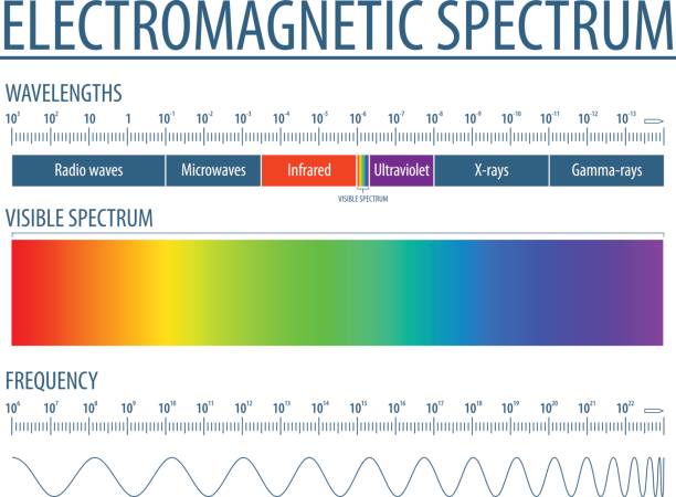 2737 - Electromagnetic spectrum - simple 10 The spectrum of waves includes infrared rays, visible light, ultraviolet rays, and X-rays ultraviolet light stock illustrations