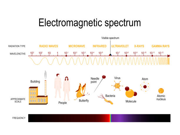 electromagnetic spectrum Diagram of the electromagnetic spectrum. illustration showing various properties across the range of frequencies and wavelengths electromagnetic stock illustrations