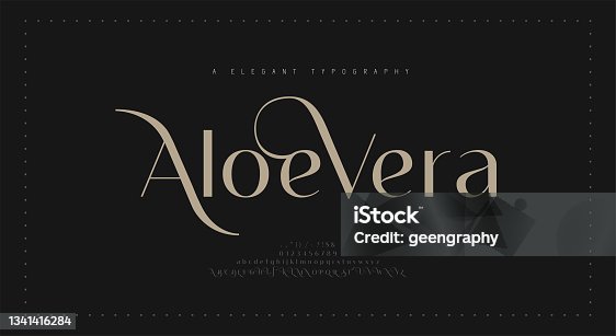 istock Elegant alphabet letters font and number. Classic Lettering Minimal Fashion Designs. Typography modern serif fonts regular decorative vintage concept. vector illustration 1341416284