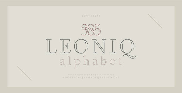 Elegant alphabet letters serif font and number. Classic Lettering Thin Line Minimal Fashion. Typography thin line fonts uppercase, lowercase and numbers. vector illustration Elegant alphabet letters serif font and number. Classic Lettering Thin Line Minimal Fashion. Typography thin line fonts uppercase, lowercase and numbers. vector illustration alphabet designs stock illustrations