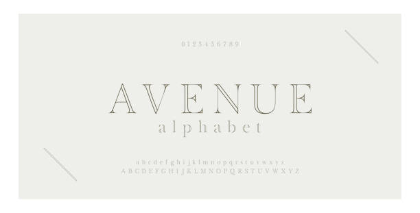 Elegant alphabet letters serif font and number. Classic Lettering Minimal Fashion. Typography thin line fonts uppercase, lowercase and numbers. vector illustration Elegant alphabet letters serif font and number. Classic Lettering Minimal Fashion. Typography thin line fonts uppercase, lowercase and numbers. vector illustration elegance stock illustrations