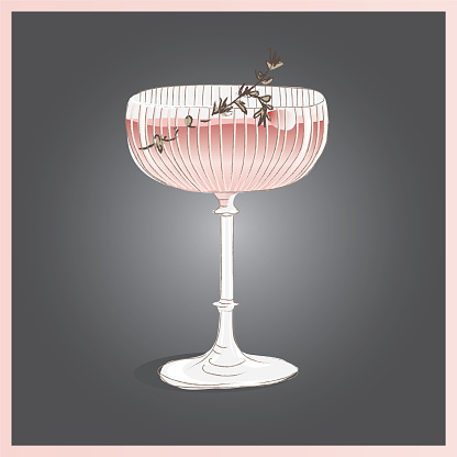 elegant cocktails in coupe glass in sketch style vector illustration